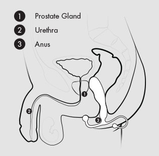 prostate-massagers-easy-to-use